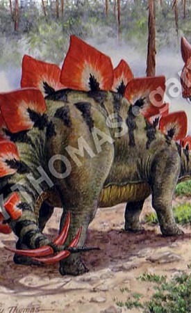 Stegosaurus & Ceratosaurus