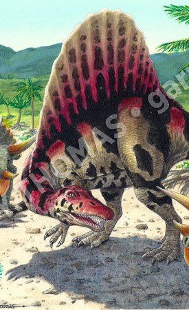 Spinosaurus & Triceratops
