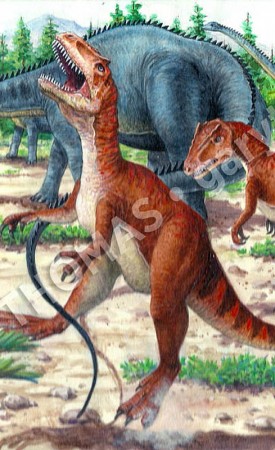 Diplodocus & Allosaurus