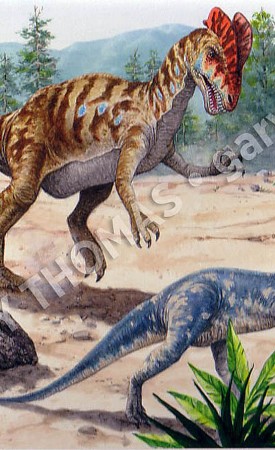 Dilophosaurus & Anchisaurus